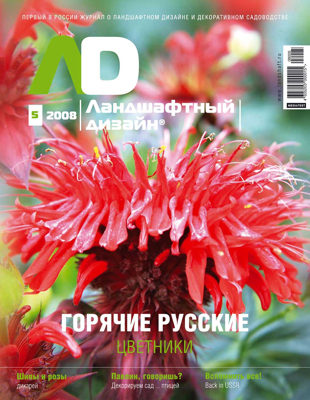 Нюансы красоты