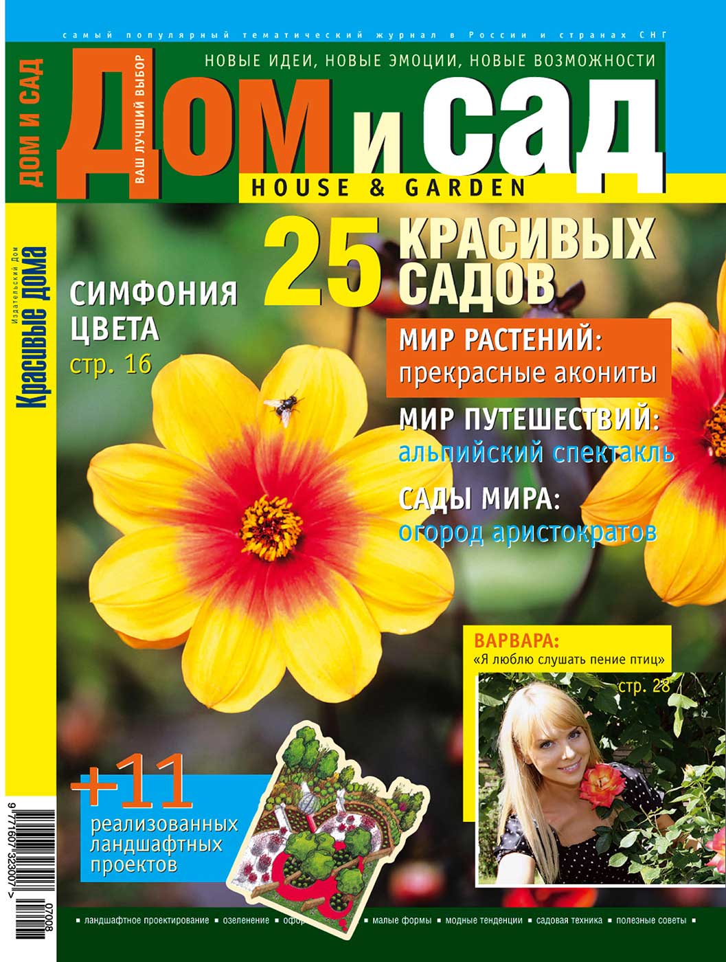 В заколдованом диком лесу