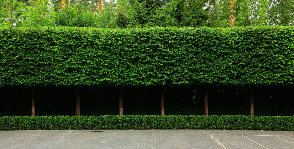 Countrysidelandscapedesign