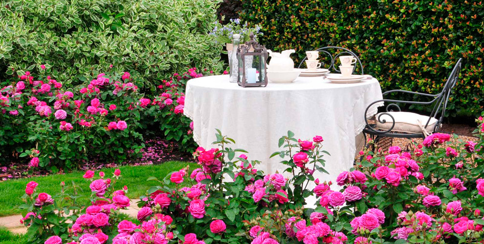 Countrysidelandscapedesign Countrysidelandscapedesign