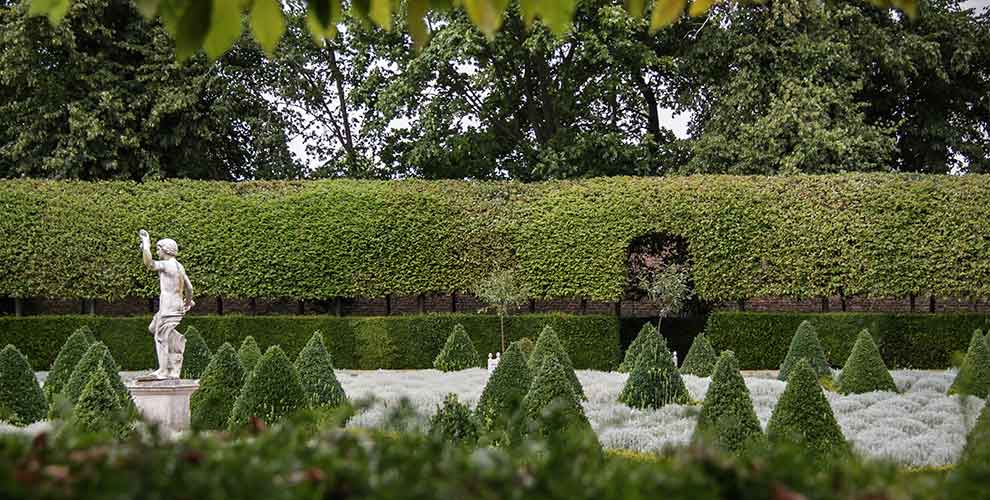 Landscape design